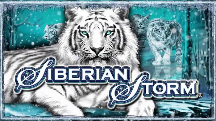 siberian-storm-au.com banner